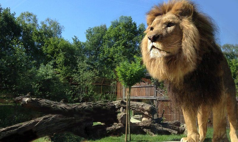 GaiaZOO