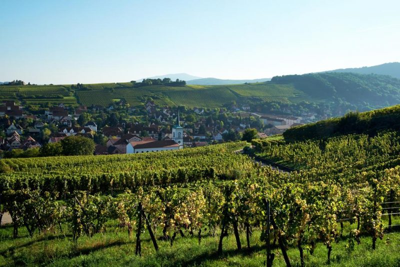 5 Terres Hotel & Spa, Barr, Alsace, France