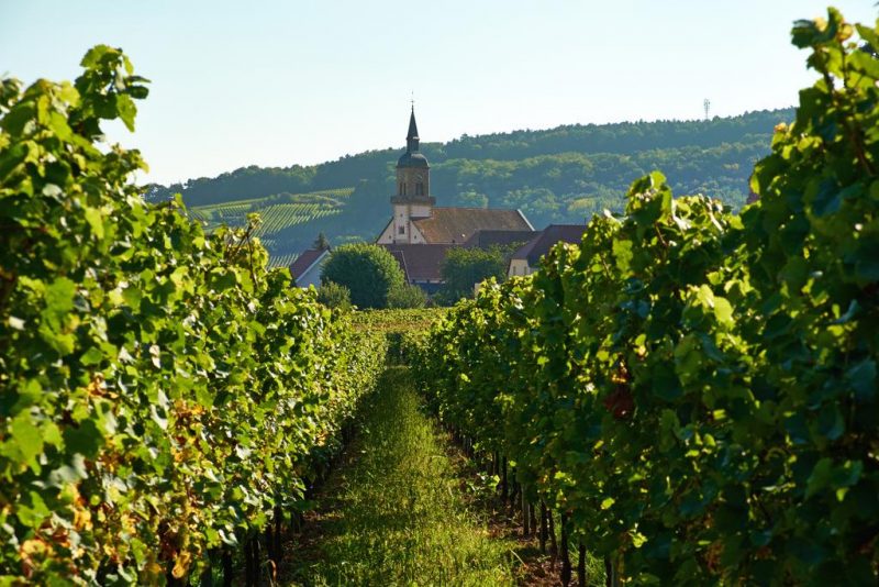 5 Terres Hotel & Spa, Barr, Alsace, France