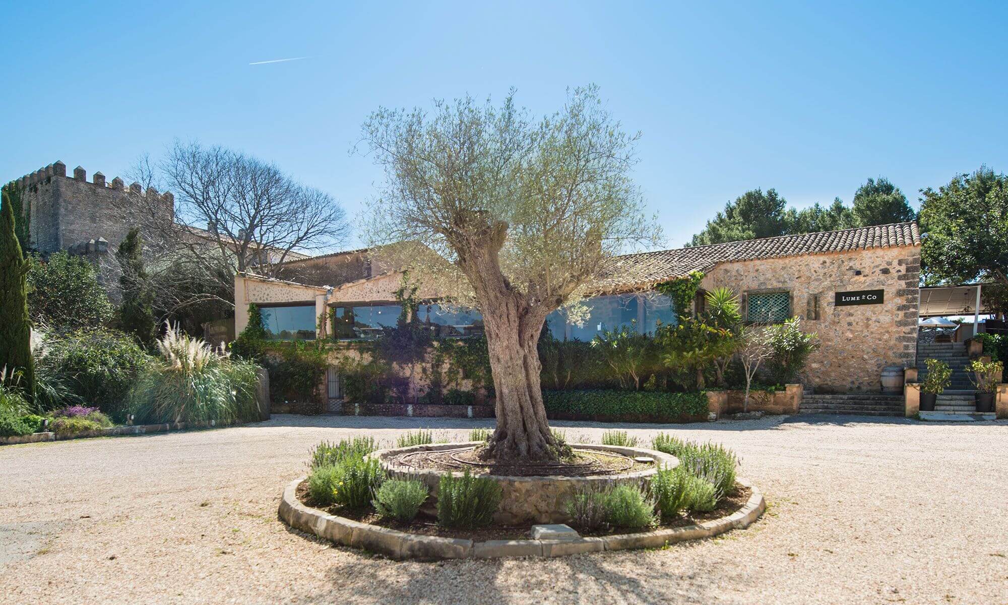 Lume & Co, Mallorca