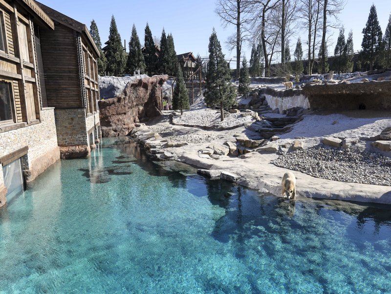 photo credit Pairi Daiza
