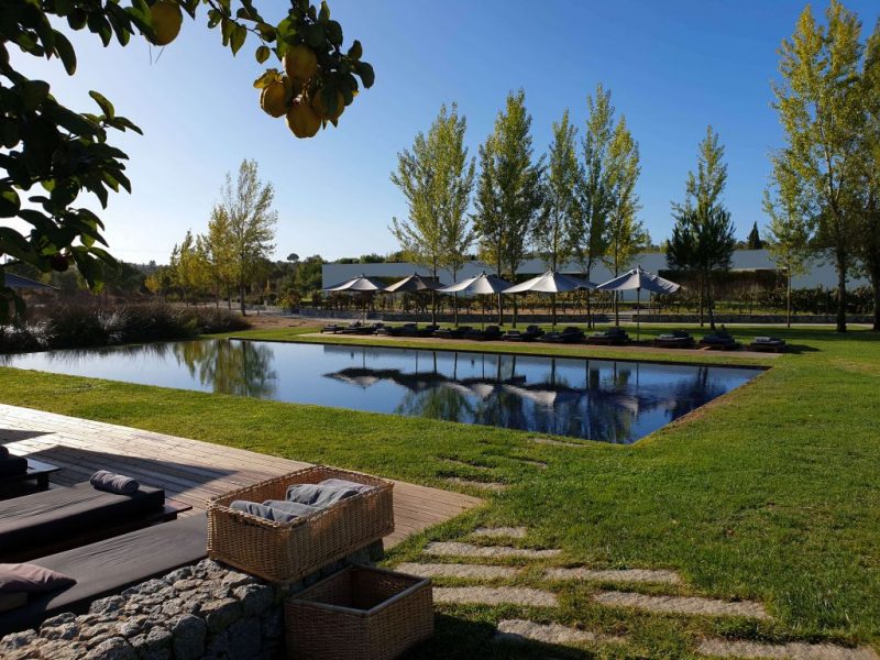 L'And Vineyards