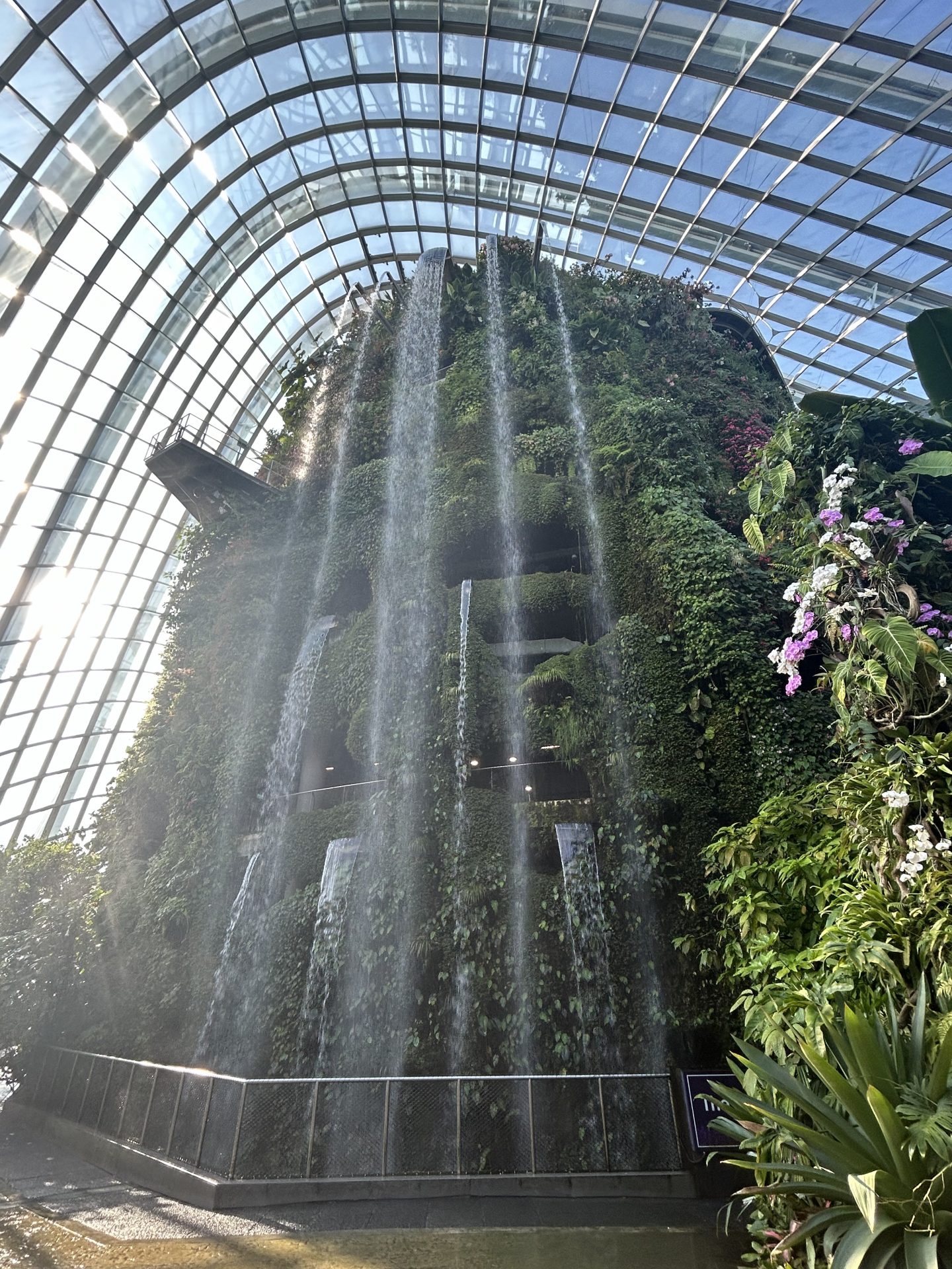 Gardens by the Bay Singapore